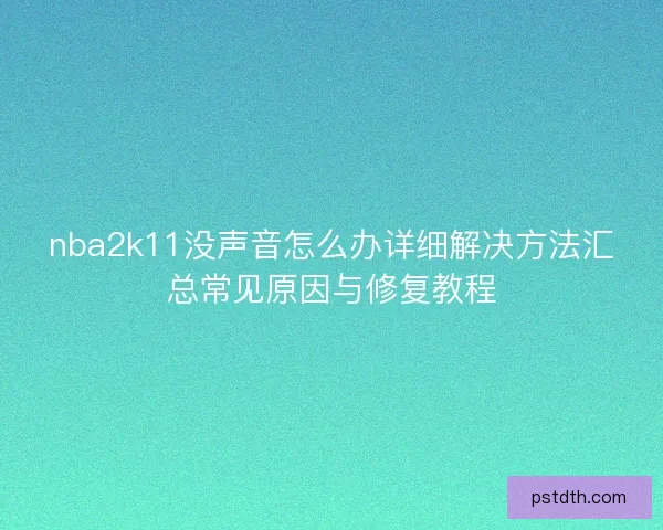 nba2k11没声音怎么办详细解决方法汇总常见原因与修复教程